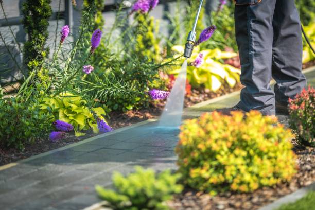 Professional Pressure Washing in Lantana, FL